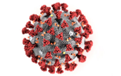 Kjære medlem i Holmen Tennisklubb